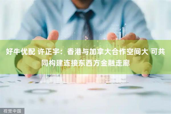 好牛优配 许正宇：香港与加拿大合作空间大 可共同构建连接东西方金融走廊