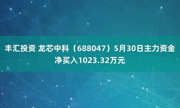 丰汇投资 龙芯中科（688047）5月30日主力资金净买入1023.32万元