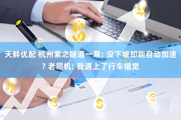 天鲜优配 杭州紫之隧道一幕: 没下坡却能自动加速? 老司机: 我遇上了行车错觉