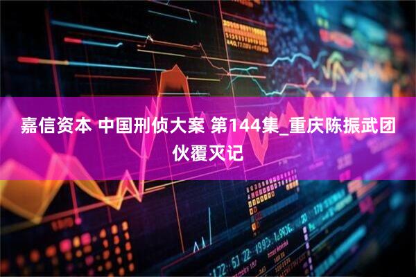 嘉信资本 中国刑侦大案 第144集_重庆陈振武团伙覆灭记