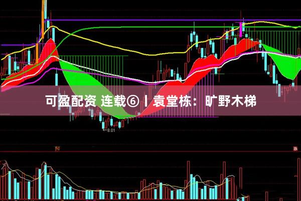 可盈配资 连载⑥丨袁堂栋：旷野木梯