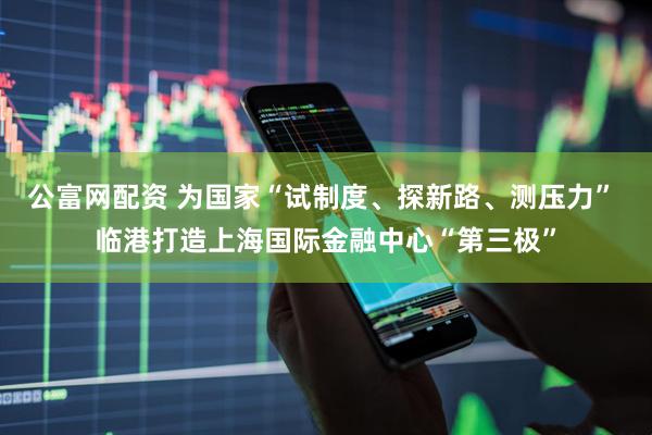 公富网配资 为国家“试制度、探新路、测压力” 临港打造上海国际金融中心“第三极”