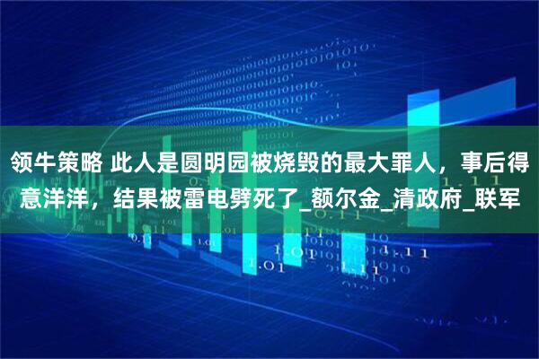 领牛策略 此人是圆明园被烧毁的最大罪人,事后得意洋洋,结果被雷电劈死了_额尔金_清政府_联军